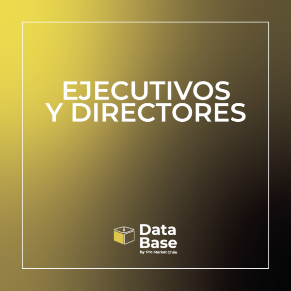 Base de datos ejecutivos