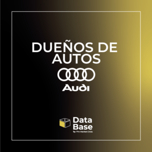 Base de datos dueños audi