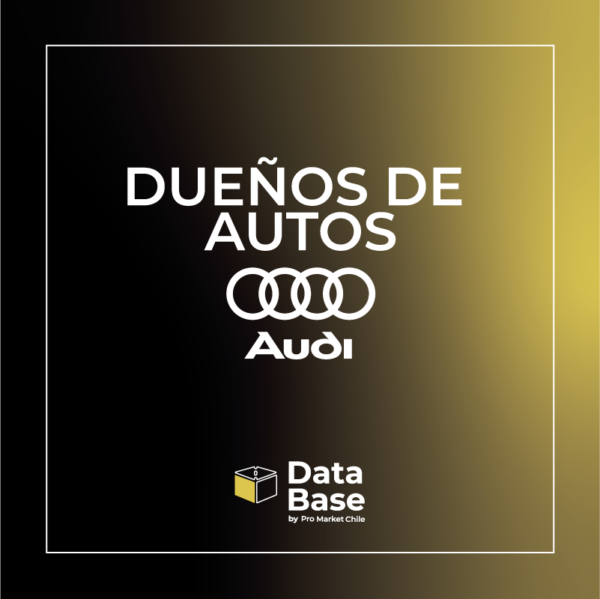 Base de datos dueños audi