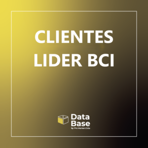 Clientes lider bci
