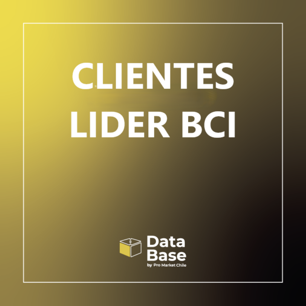 Clientes lider bci